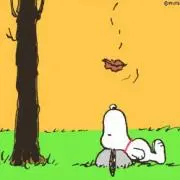 ミヤミヤの画像
