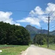 6の画像