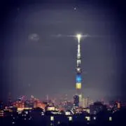 suzuの画像