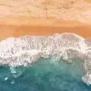 haruの画像