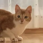 kotarouの画像