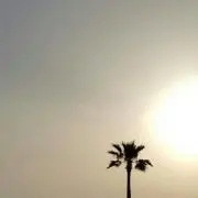 Mii☆購入＝プロフ御承知・御了承