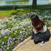 あーちゃんの画像