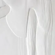 Pomの画像