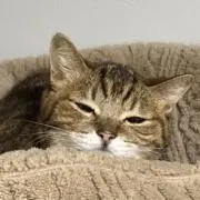 なずな※プロフ必読！の画像