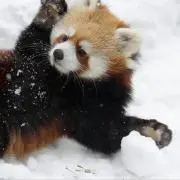 あきあき