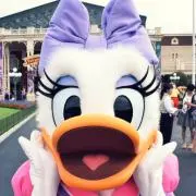 りちゃの画像
