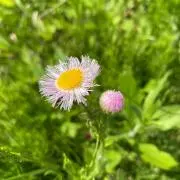 mocco☆しばらくお休みします。の画像