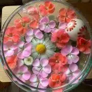 hanajjの画像