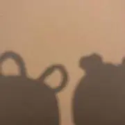 ふうかの画像