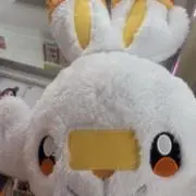 すずこの画像