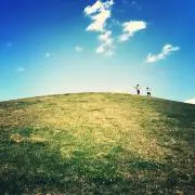 fuyuの画像