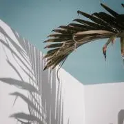 ☺︎の画像