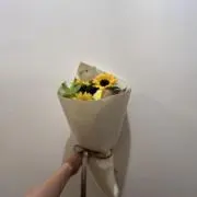 さでぃおまねの画像