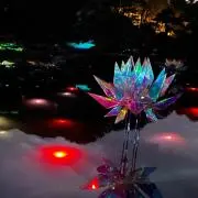 アサコの画像