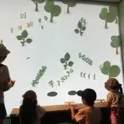 葉っぱの画像