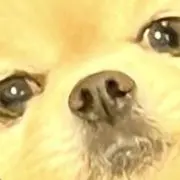 チャンネルともともの画像