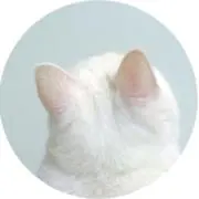 mの画像