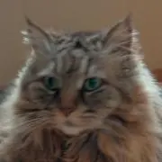 やまの画像