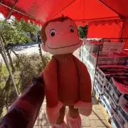 ばんぞうの画像