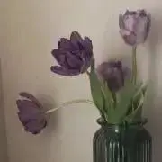 kの画像