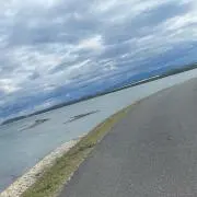 音色の画像