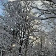 oの画像
