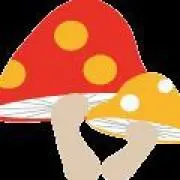 きのこの画像