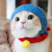 みどりの画像