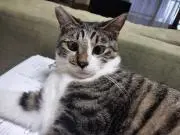 くう