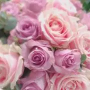 roseの画像
