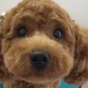 まりお。