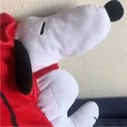 ymdの画像