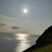たぴおかみるくてぃー。プロフ必読‼️
