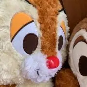 ずんの画像