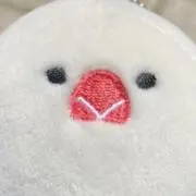 ぴぃの画像