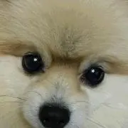 ノリノリ