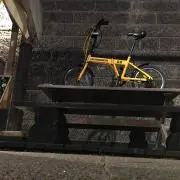 しんの画像