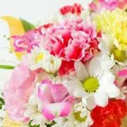 ✽ひまり✽【プロフ読んで下さい】の画像