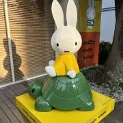 たたたんの画像