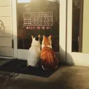 あーちゃんの画像