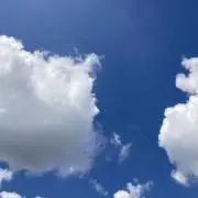 ねこの森の画像