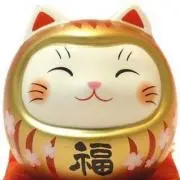 コメマメの画像