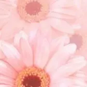 yo