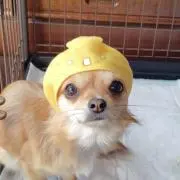 りぃママ
