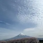 bonna