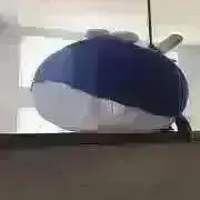 くじたん☆