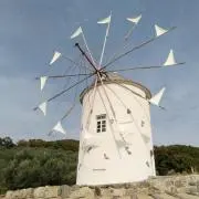 しろの画像