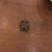 綿棒の綿
