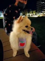 kietsu　※プロフ確認してください